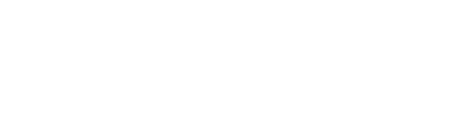 Orange Logo