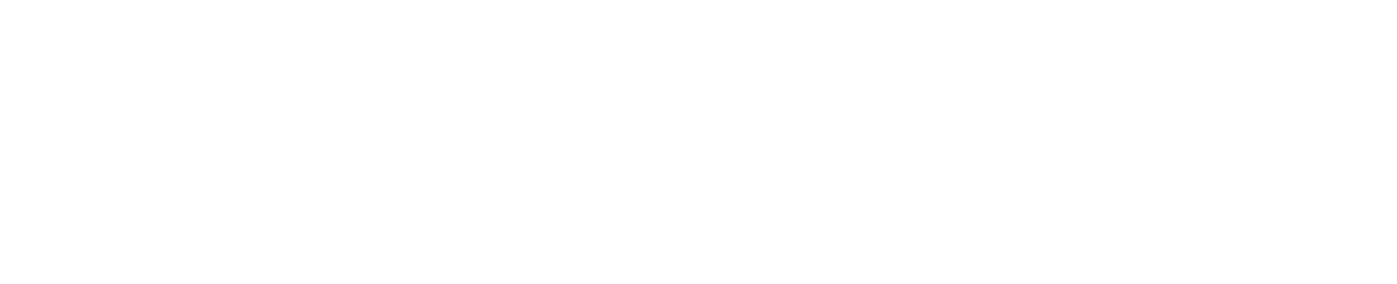 Pan American Silver Logo