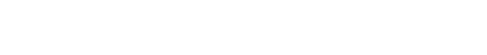 Porsche Automobil Holding Logo