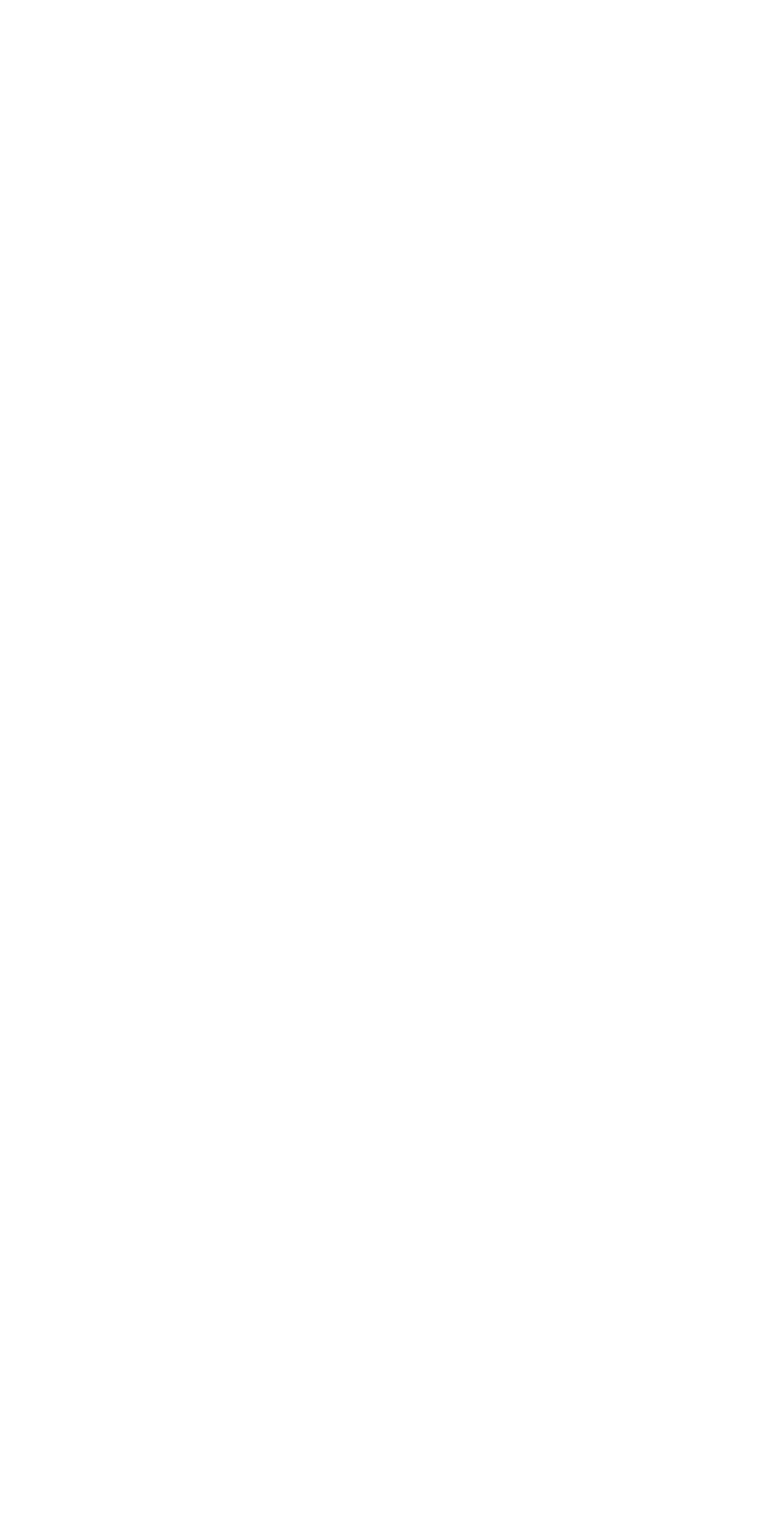 PENGUIN SOLUTIONS Logo