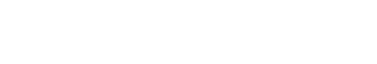 Pfeiffer Vacuum Logo
