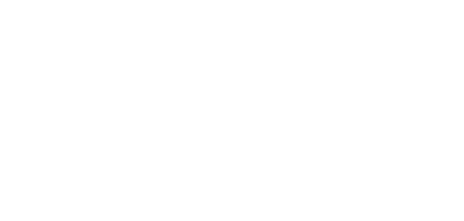 PNE Logo