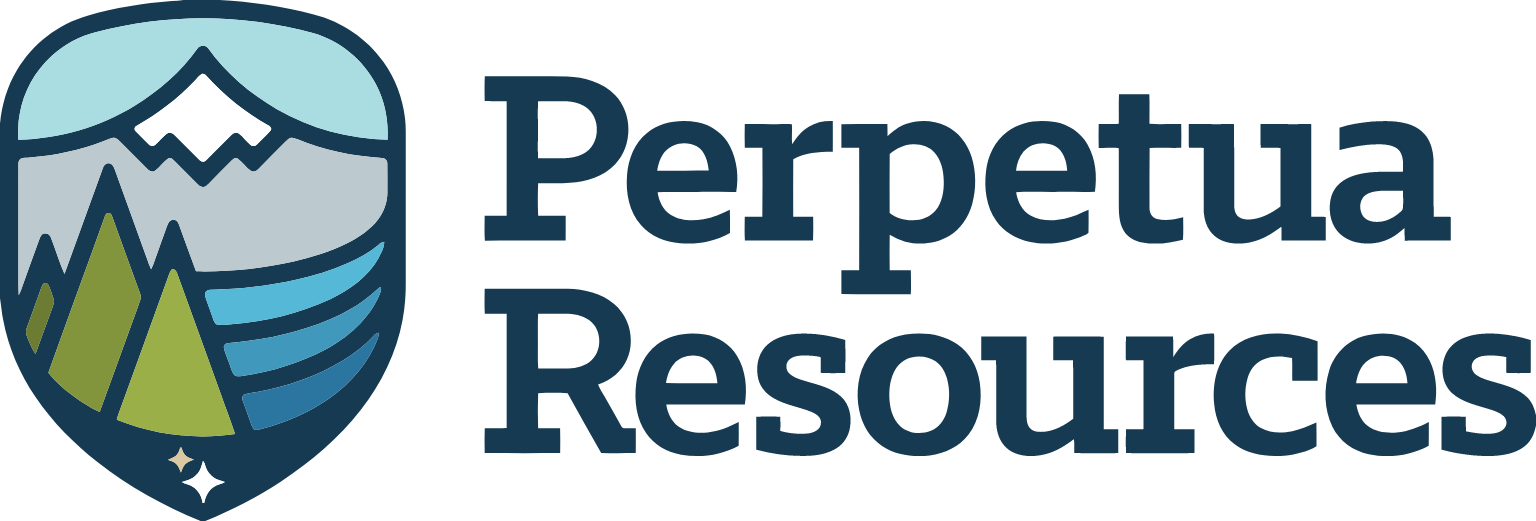 Perpetua Resources Aktie