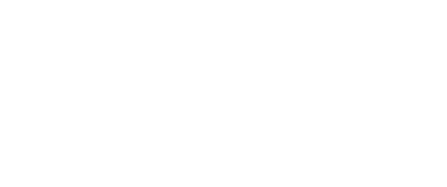 Scherzer Logo