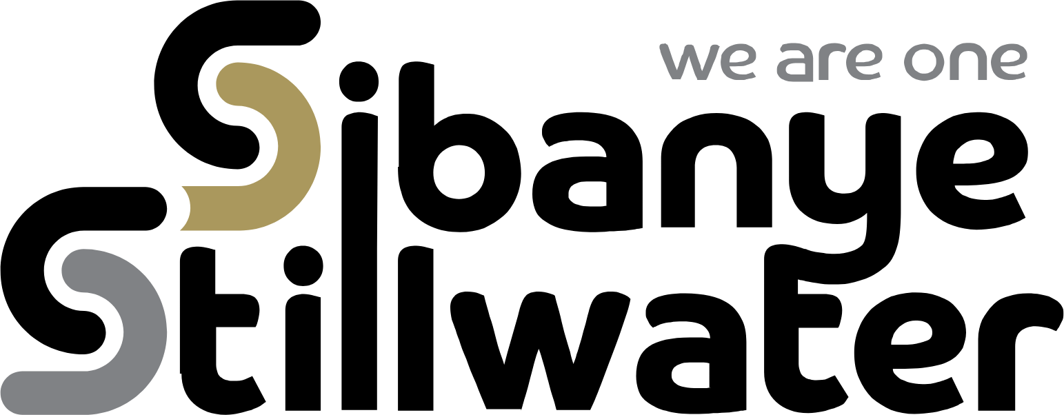 Sibanye Stillwater Aktie