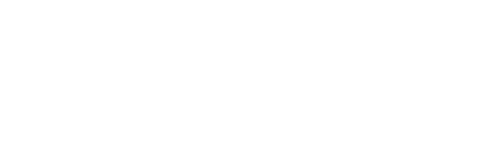 Cia Siderurgica Nacional Logo
