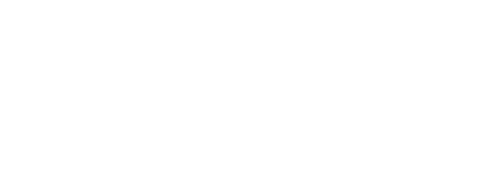 SLM Logo