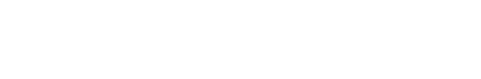 Solvay Logo