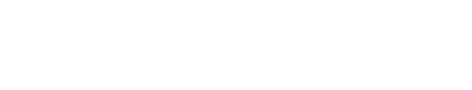 StoneCo Logo