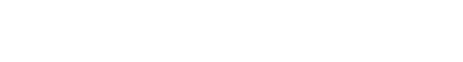 Savers Value Village Logo