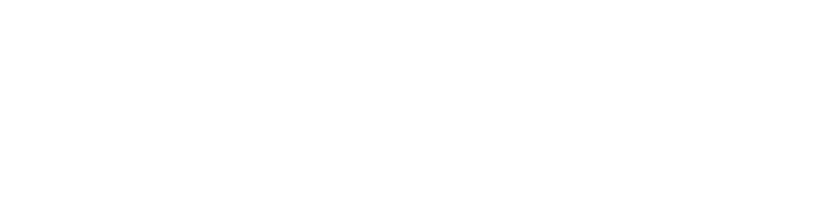 Stryker Logo