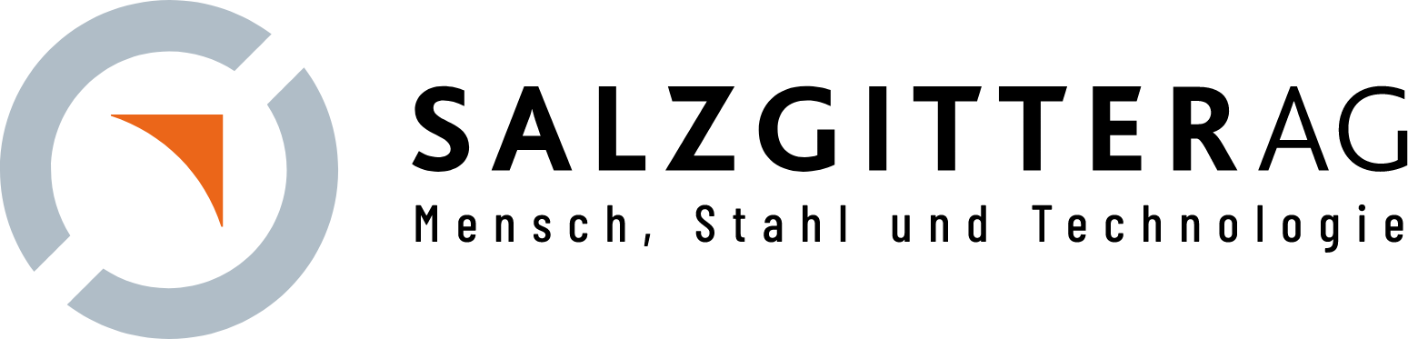 Salzgitter AG Logo