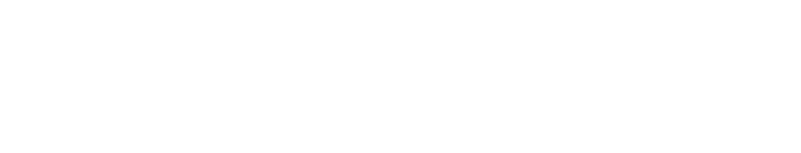 United States Cellular Logo