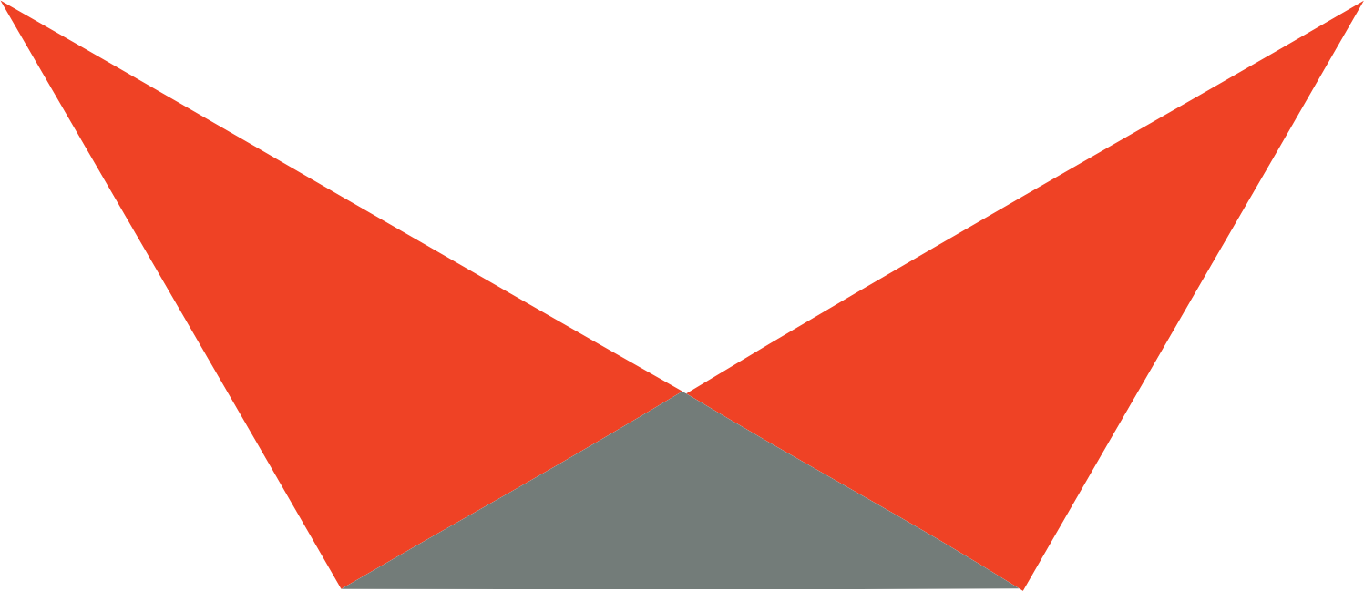 Viking Therapeutics Logo