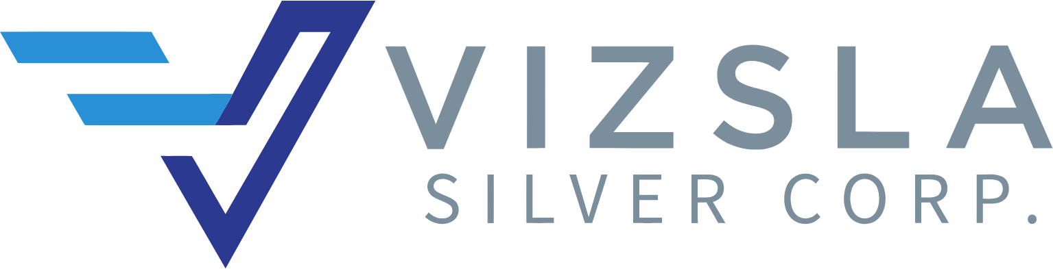 Vizsla Silver Aktie