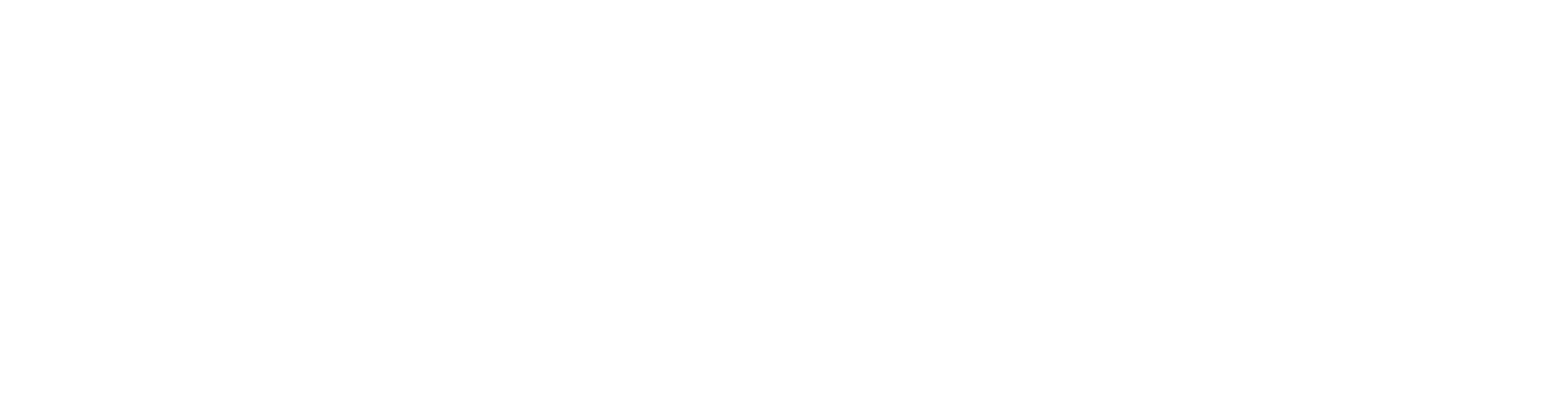 Vizsla Silver Logo