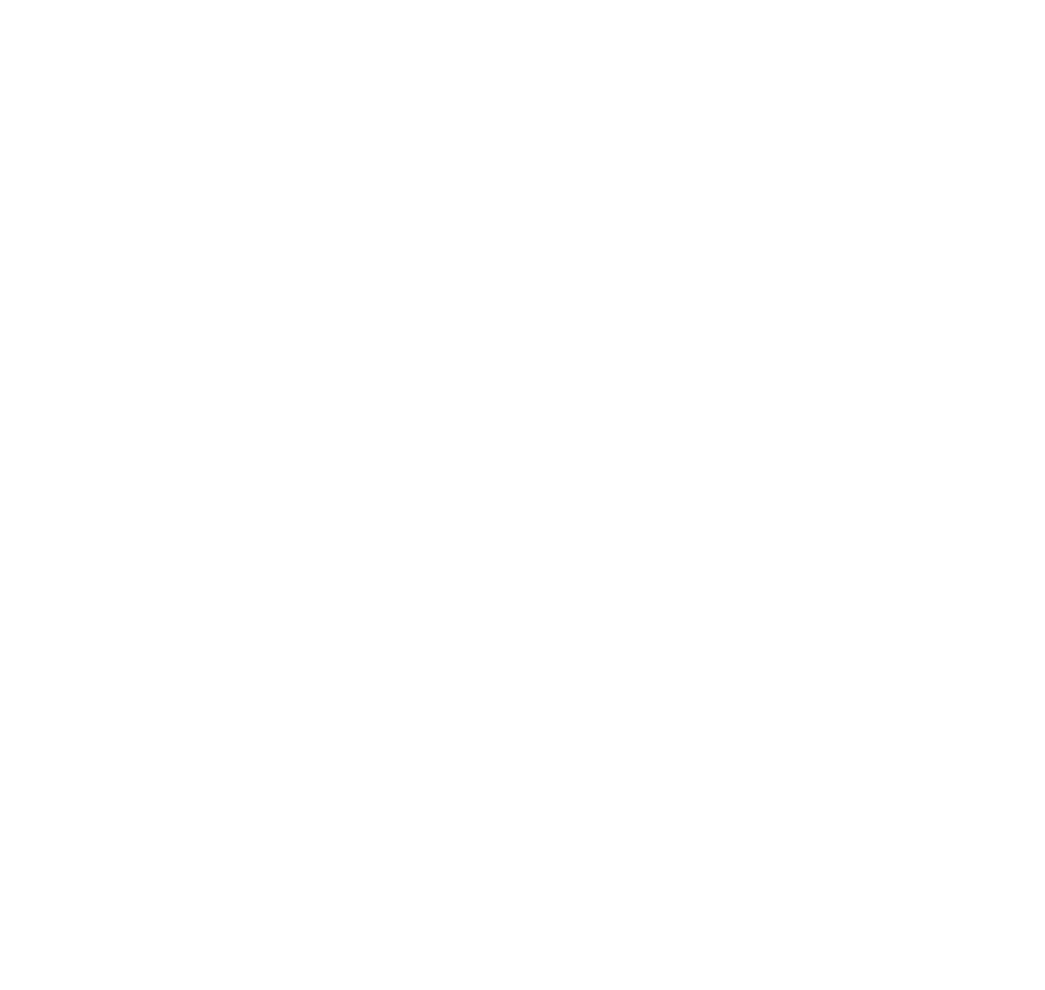 ZIM Logo
