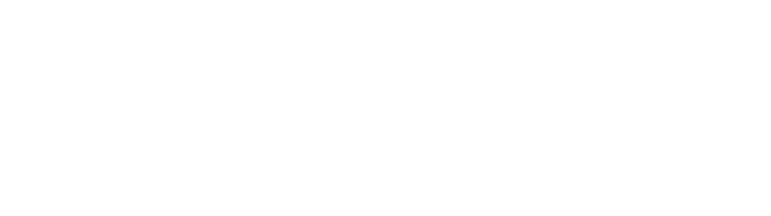 Nanobiotix Logo für dunkle Hintergründe (transparentes PNG)