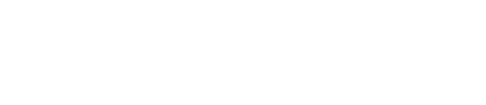 Nanobiotix logo large for dark backgrounds (transparent PNG)